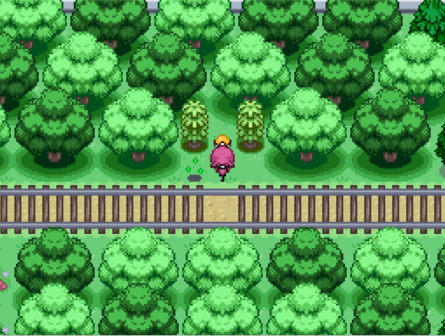 Pokemon Emerald Walkthrough Road to the Seventh Gym - Route 120